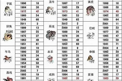 1980屬|1980年1月出生属什么生肖